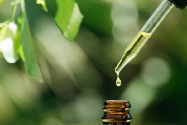 Испытай всю пользу змеиного яда на своей коже. Спойлер: ни одна змея не пострадала