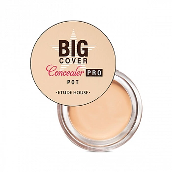 Маскирующий консилер Big Cover Pot Concealer PRO