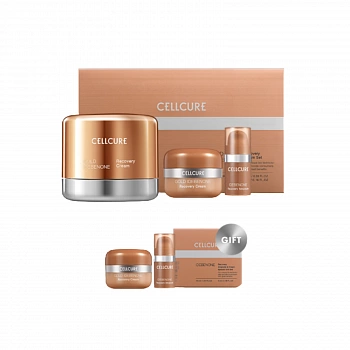 Крем для лица с идебеноном (набор) Idebenon Recovery Cream Set