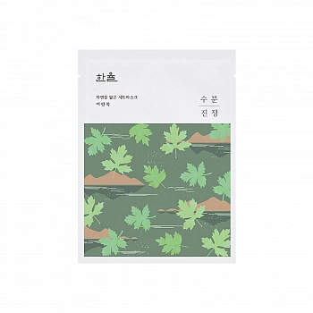 Тканевая маска с экстрактом полыни Nature in Life Mask Sheet 04