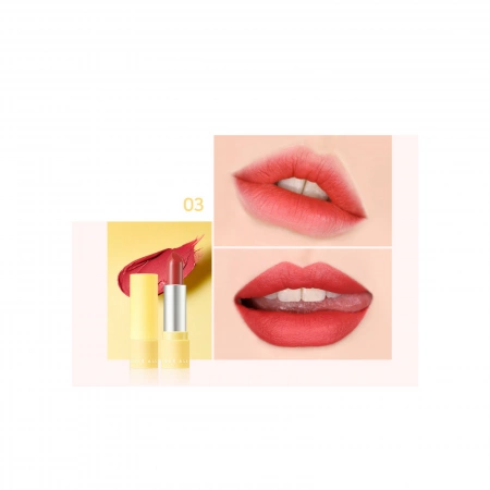 dp003(1)