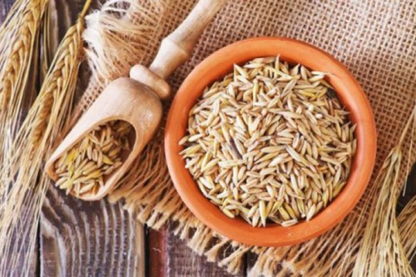 Экстракт проросшего овсяного зерна против экземы